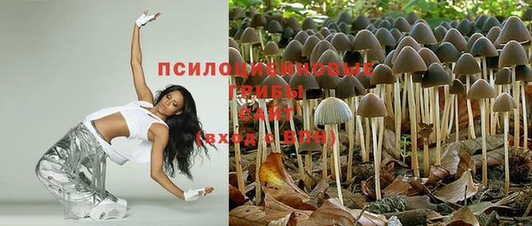 mdpv Остров