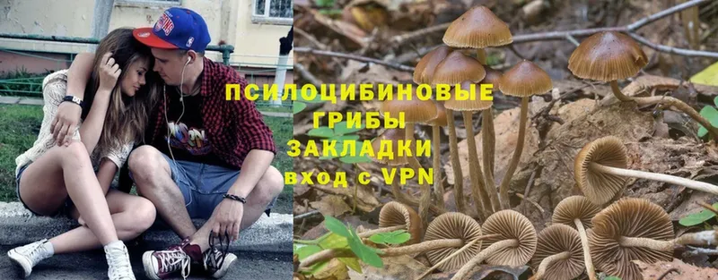 Галлюциногенные грибы Magic Shrooms  Семилуки 