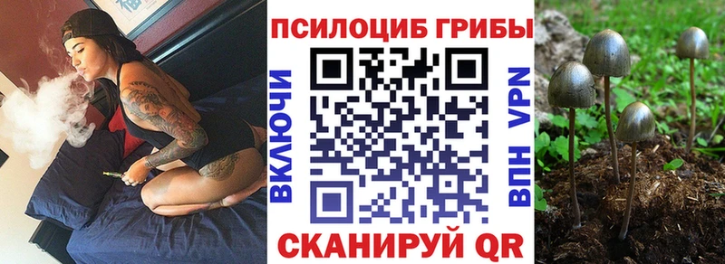 Галлюциногенные грибы мицелий  Семилуки 